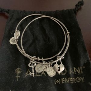 Alex and Ani charm bracelet bundle with dust bag